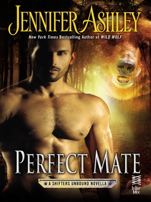 cover image of Perfect Mate